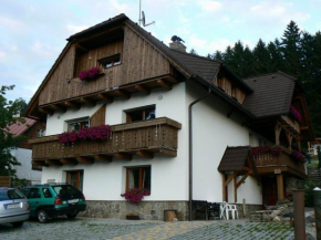 Отель Apartmány U Vaců, Железна Руда
